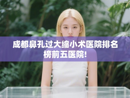 成都鼻孔过大缩小术医院排名榜前五医院!