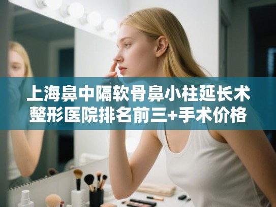 上海鼻中隔软骨鼻小柱延长术整形医院排名前三+手术价格表一览! 上海鼻中隔软骨鼻小柱延长术整形医院排名前三+手术价格表一览!