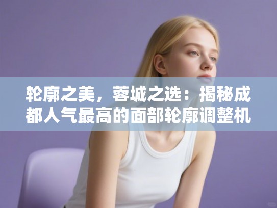 轮廓之美，蓉城之选：揭秘成都人气最高的面部轮廓调整机构