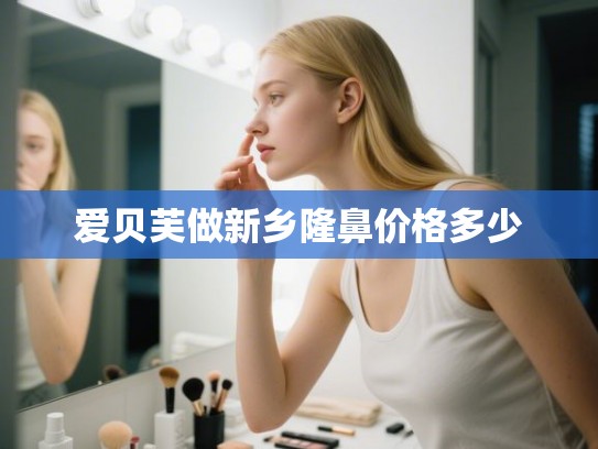 爱贝芙做新乡隆鼻价格多少