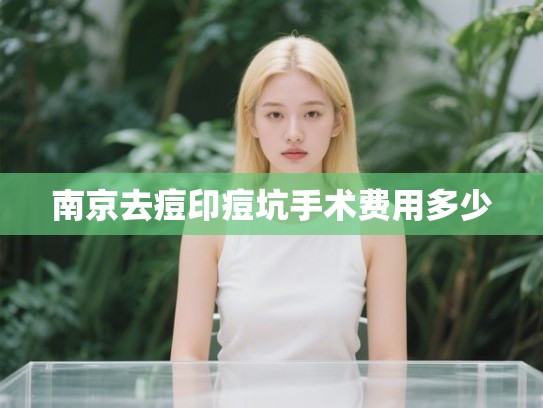 南京去痘印痘坑手术费用多少