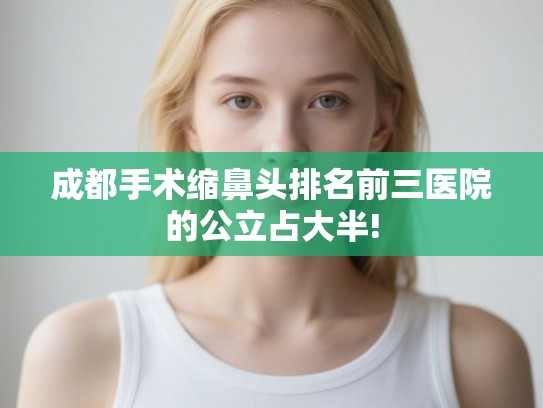 成都手术缩鼻头排名前三医院的公立占大半!