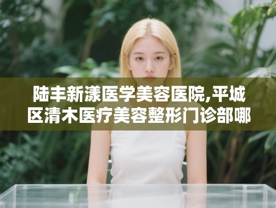 陆丰新漾医学美容医院,平城区清木医疗美容整形门诊部哪个医院好附案例