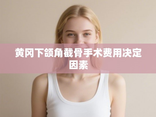 黄冈下颌角截骨手术费用决定因素