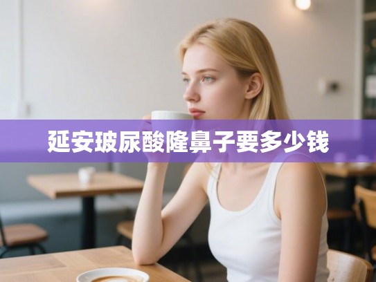 延安玻尿酸隆鼻子要多少钱 延安玻尿酸隆鼻子要多少钱