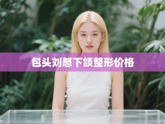 包头刘怒下颌整形价格