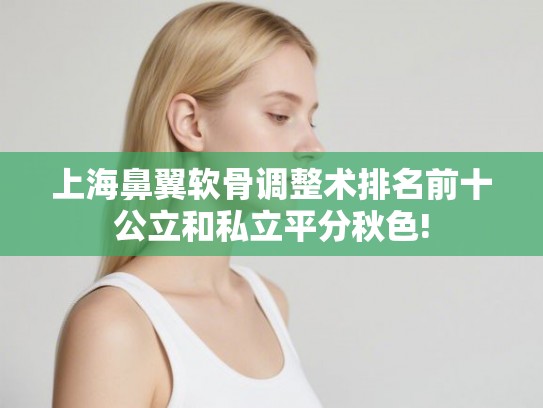 上海鼻翼软骨调整术排名前十公立和私立平分秋色! 上海鼻翼软骨调整术排名前十公立和私立平分秋色!