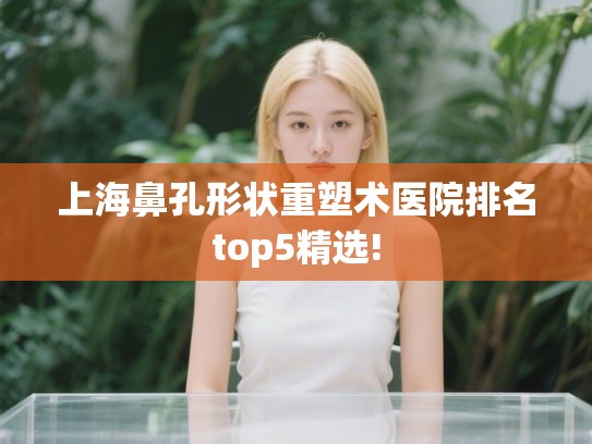 上海鼻孔形状重塑术医院排名top5精选!