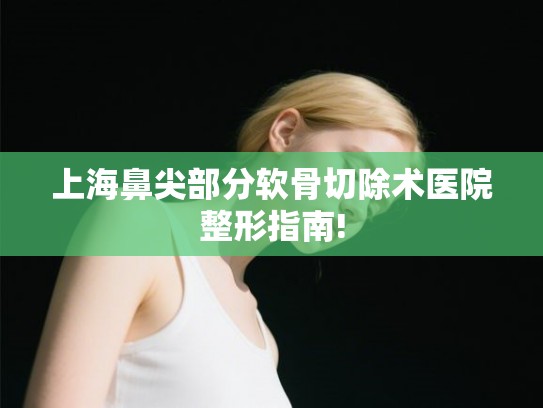 上海鼻尖部分软骨切除术医院整形指南! 上海鼻尖部分软骨切除术医院整形指南!