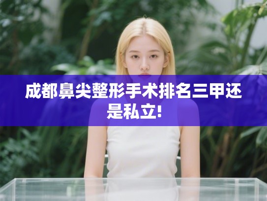 成都鼻尖整形手术排名三甲还是私立! 成都鼻尖整形手术排名三甲还是私立!