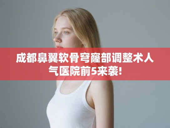 成都鼻翼软骨穹窿部调整术人气医院前5来袭!