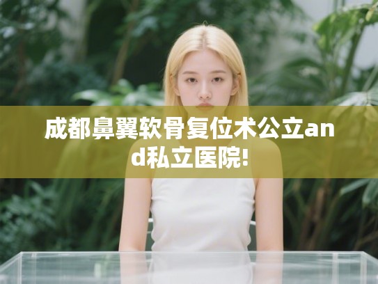成都鼻翼软骨复位术公立and私立医院!