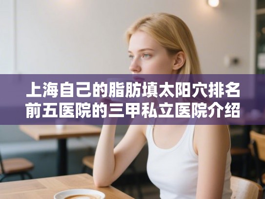 上海自己的脂肪填太阳穴排名前五医院的三甲私立医院介绍!