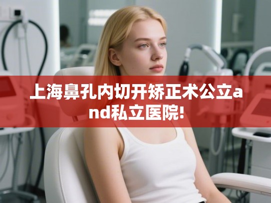 上海鼻孔内切开矫正术公立and私立医院!