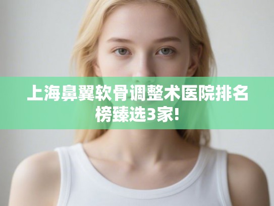 上海鼻翼软骨调整术医院排名榜臻选3家! 上海鼻翼软骨调整术医院排名榜臻选3家!